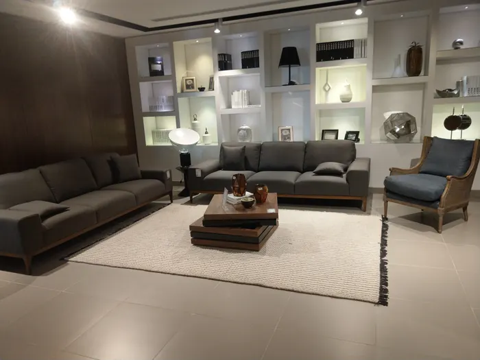 Salon gris, table basse en bois et bibliothèque